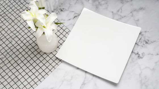 Qualität Umweltfreundliche, kohlenstoffarme Hochtemperatur-PET-Buffetplatte Größe L Fabrik