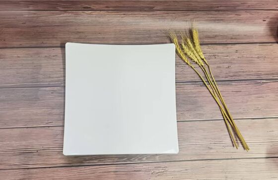 Qualität Weiße Hochtemperatur-PET-Tischgeschirr-Buffetplatte Größe M 25,3 x 25,3 x 1,8 cm Fabrik