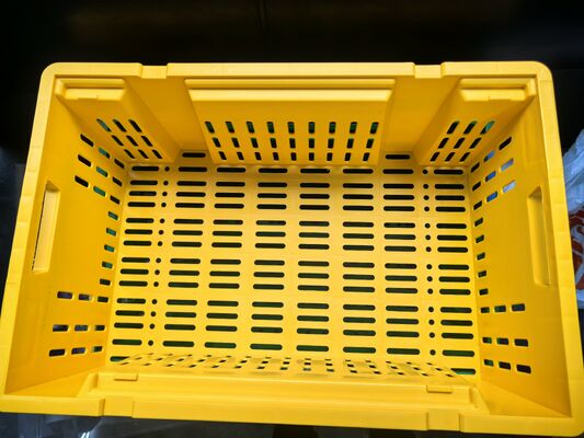 Quality Eco Friendly Versatile PET Crate Developed For Fresh Produce Processing And Food Service factory