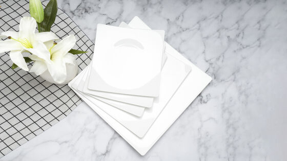 Quality Environmentally Friendly Low Carbon High Temperature PET Buffet Plate Size L factory