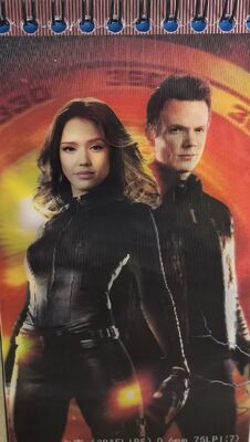 Qualità Biglietto da visita lenticolare 3D con cambio di 2 immagini, cartolina lenticolare, stampa su foglio lenticolare Fabbrica