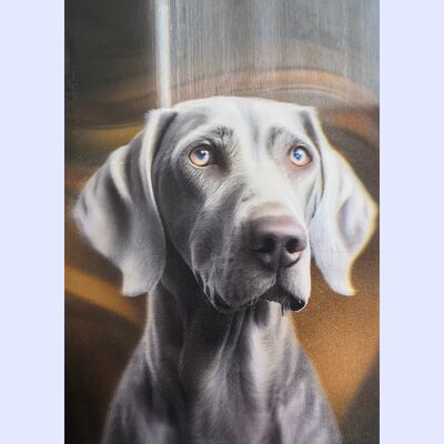 Qualité 0.3mm 0,35mm 0,45mm 0,6mm 0,8mm 0,9mm 3D Lenticulaire Lenticule feuille d'impression numérique Usine