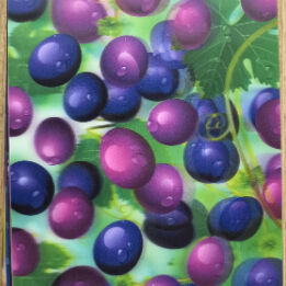 PET 0.35mm 100LPI 3D Lenticular Sheets Still Life Cây trái cây và Thẻ phong cảnh