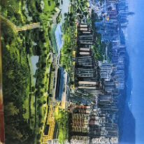 Quality PET 0.35mm 100LPI 3D Lenticular Sheets Still Life Fruit Plant And Landscape Cards factory